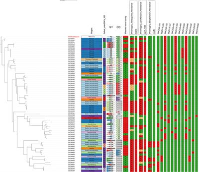 Genomic insight into Campylobacter jejuni isolated from commercial turkey flocks in Germany using whole-genome sequencing analysis